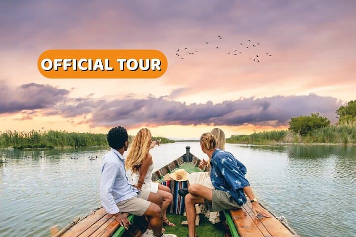 Albufera Natural Park Boat Tour: Barraca Visit, Electric Boat & Birdwatching from Valencia