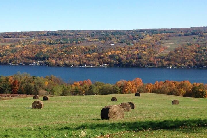 Private Seneca Lake Wine Tour — Customizable Finger Lakes Tasting Experience photo 5