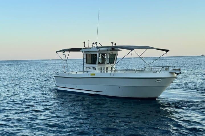 Brijuni Dolphin Sunset Cruise from Pula — Evening Boat Tour & Dolphin Watching photo 2