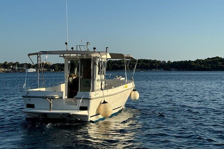 Brijuni Dolphin Sunset Cruise from Pula — Evening Boat Tour & Dolphin Watching photo 5