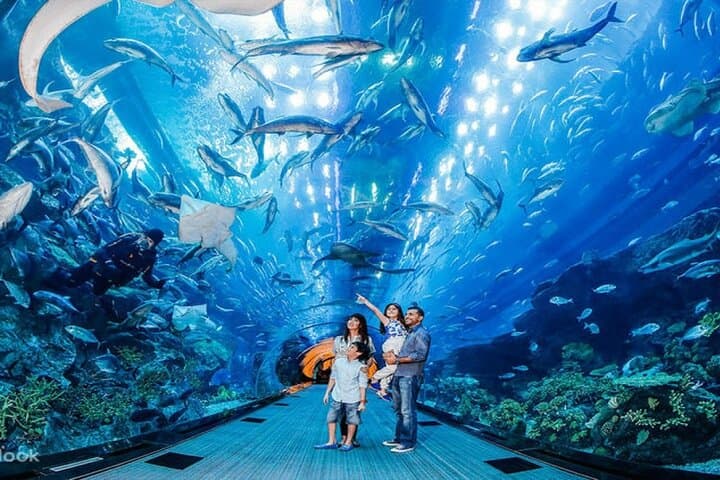 Penguin Cove at Dubai Aquarium: Skip-the-Line Tickets & Visitor Guide photo 3