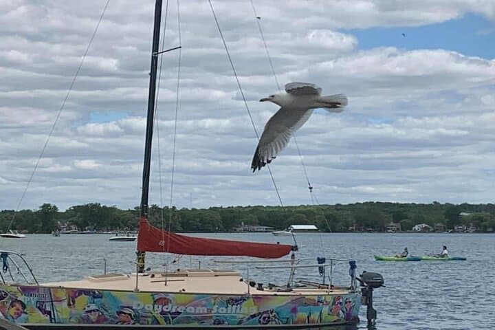 Canandaigua Lake Wine Tour — Small-Group Customizable Finger Lakes Tasting photo 5