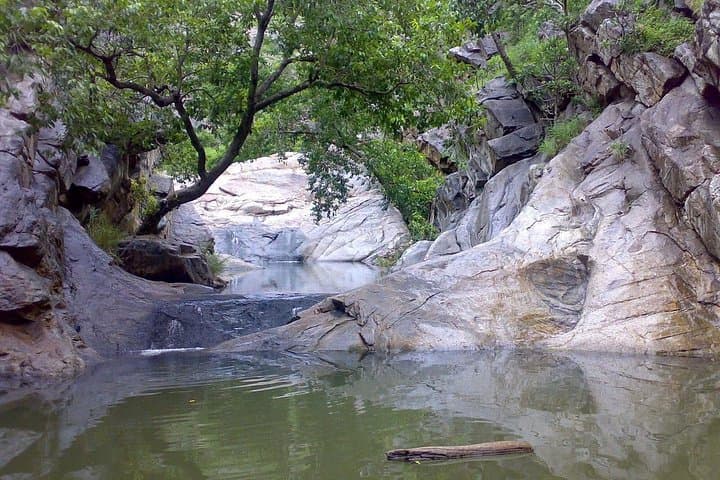 Sariska Wildlife and Heritage Escape from Delhi - 2-Day Private Jeep Safaris photo 4