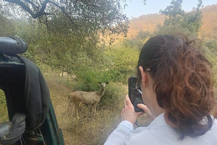 Sariska Wildlife and Heritage Escape from Delhi - 2-Day Private Jeep Safaris