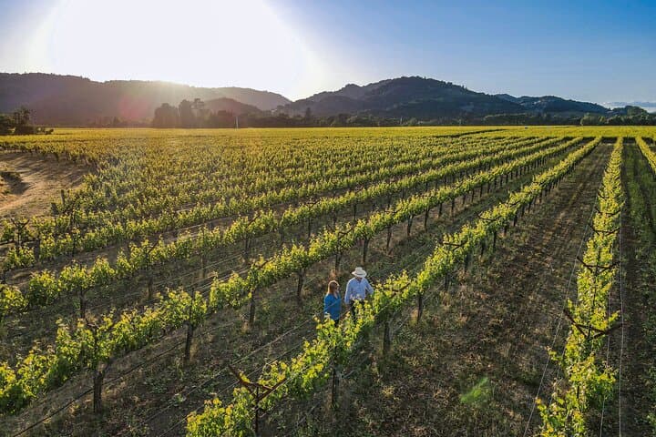 Private Romantic Wine Tasting Next to the Vines in Napa Valley