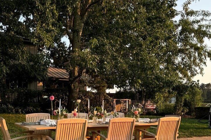 Private Romantic Wine Tasting Next to the Vines in Napa Valley photo 2
