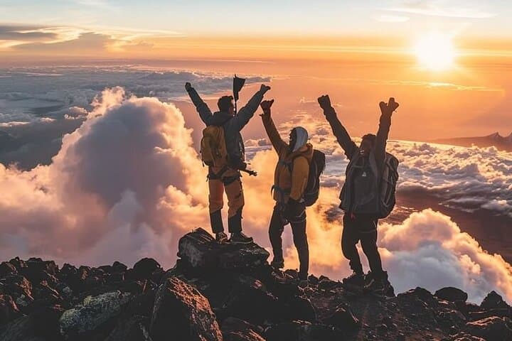 Day Hike to Mandara Hut on Mount Kilimanjaro — One-Day Trek from Moshi photo 2