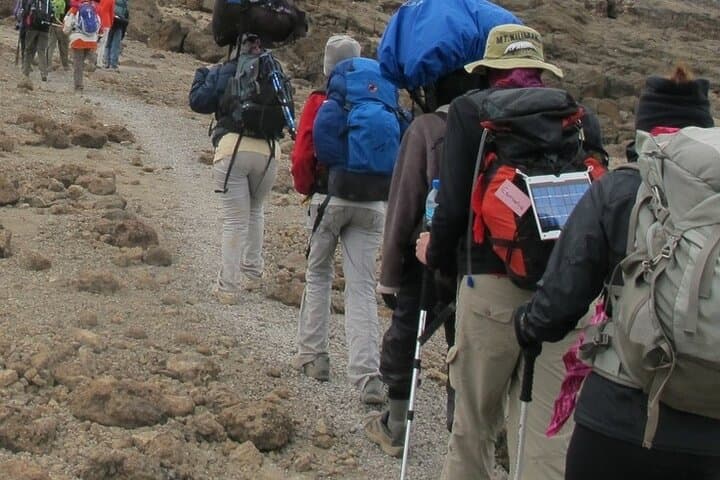 Day Hike to Mandara Hut on Mount Kilimanjaro — One-Day Trek from Moshi photo 4