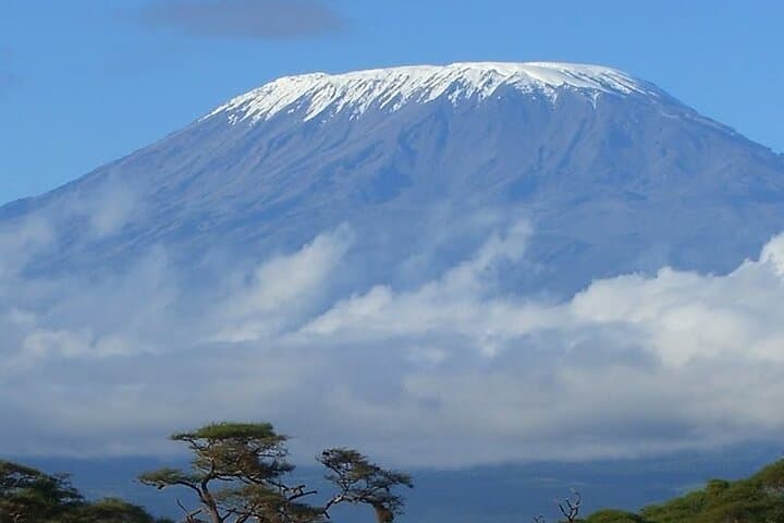 Day Hike to Mandara Hut on Mount Kilimanjaro — One-Day Trek from Moshi photo 5