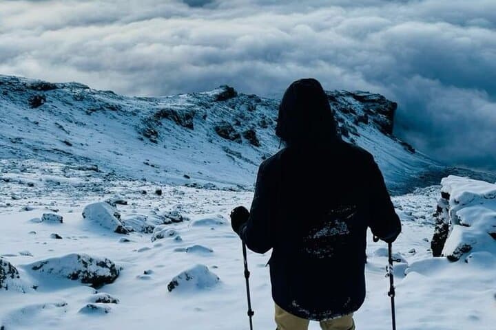 Day Hike to Mandara Hut on Mount Kilimanjaro — One-Day Trek from Moshi photo 6