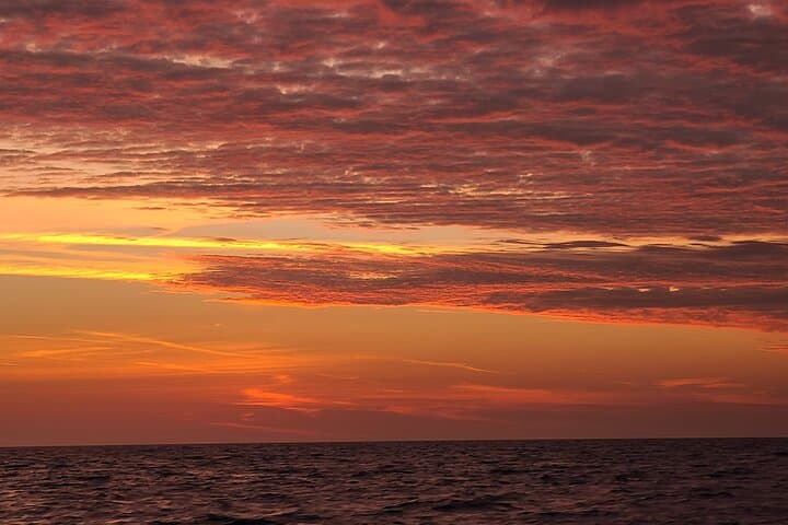 Private Sunset Cruise in Orange Beach: Gulf Coast Evening Charter photo 5