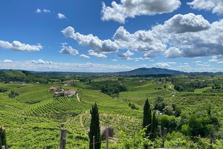 Half-Day Prosecco Hills Tour from Padua: Valdobbiadene Wineries & Molinetto della Croda