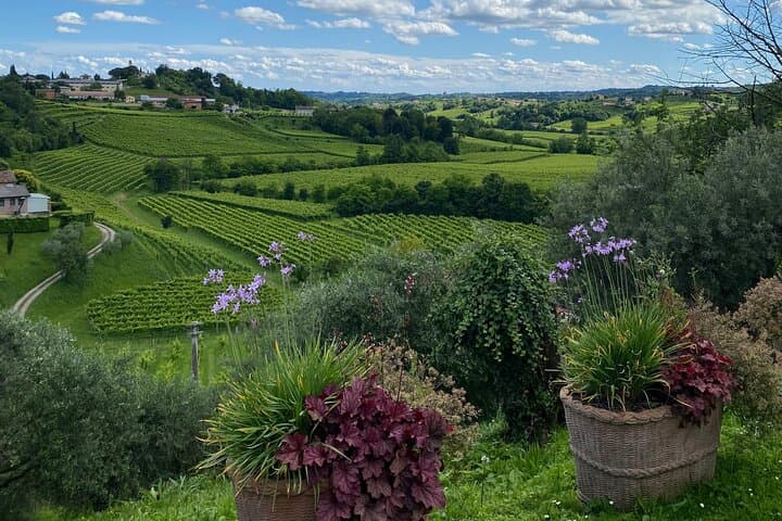 Half-Day Prosecco Hills Tour from Padua: Valdobbiadene Wineries & Molinetto della Croda photo 4