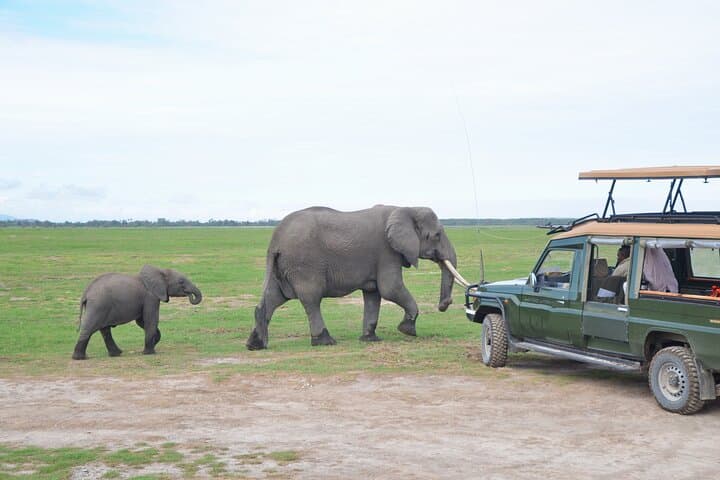 From Red Elephants to Kilimanjaro: 4-Night Safari Through Tsavo & Amboseli photo 2