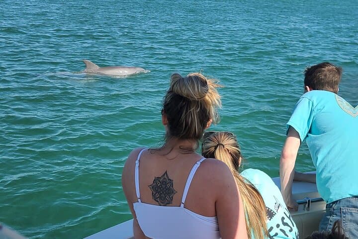 Private Dolphin Sightseeing Excursion in Orange Beach — 1-Hour Gulf Charter photo 6