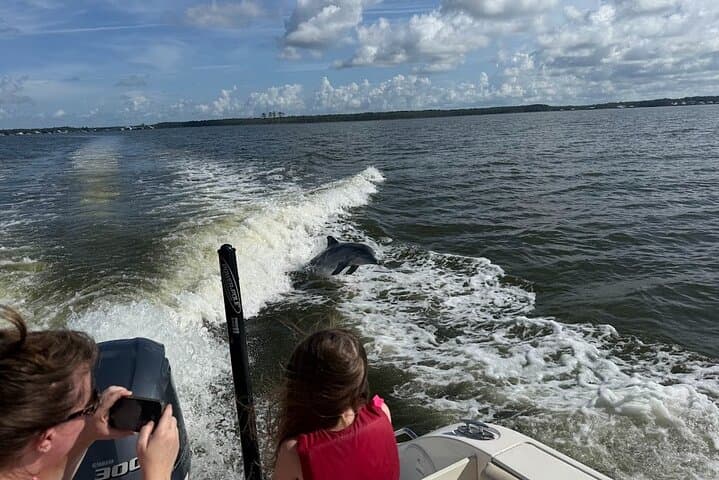 Private Dolphin Sightseeing Excursion in Orange Beach — 1-Hour Gulf Charter photo 5