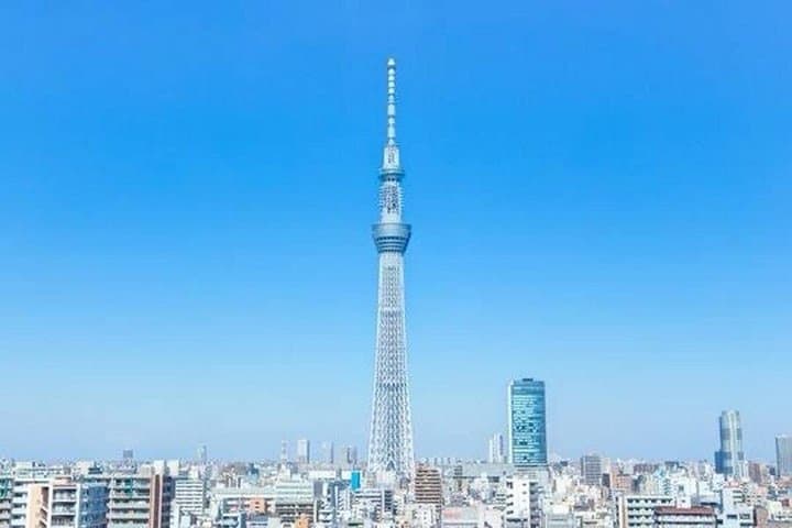 Tokyo Full-Day Private City Tour: Temples, Towers & Streets with a Local Guide photo 2