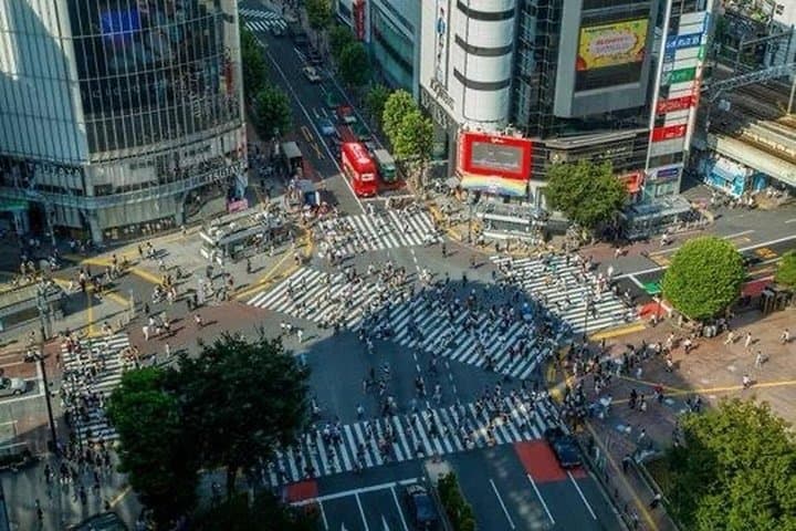 Tokyo Full-Day Private City Tour: Temples, Towers & Streets with a Local Guide photo 5
