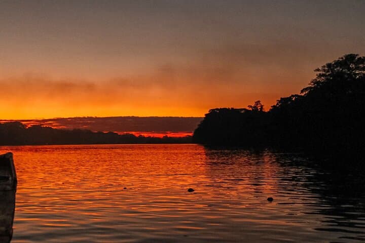 Amazon Jungle Sunrise: Parrots & Macaws at Tambopata Clay Lick