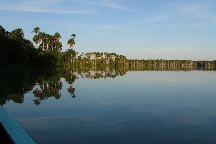 Amazon Jungle Sunrise: Parrots & Macaws at Tambopata Clay Lick photo 5