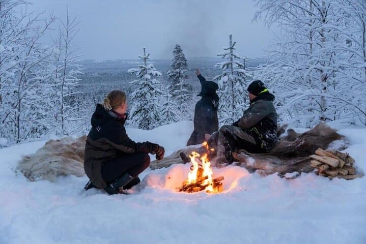 Snowmobile Sleigh Adventure in Authentic Lapland — Family Farm Campfire Experience photo 4