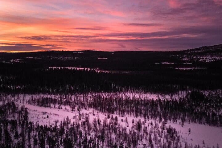 Snowmobile Sleigh Adventure in Authentic Lapland — Family Farm Campfire Experience