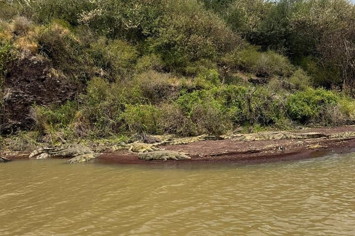 3-Day Arba Minch & Konso Tour — Lake Chamo Boat Safari, Nechisar Hikes & Konso Terraces photo 4