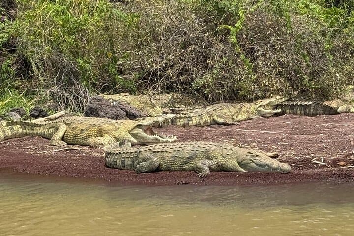 3-Day Arba Minch & Konso Tour — Lake Chamo Boat Safari, Nechisar Hikes & Konso Terraces photo 5
