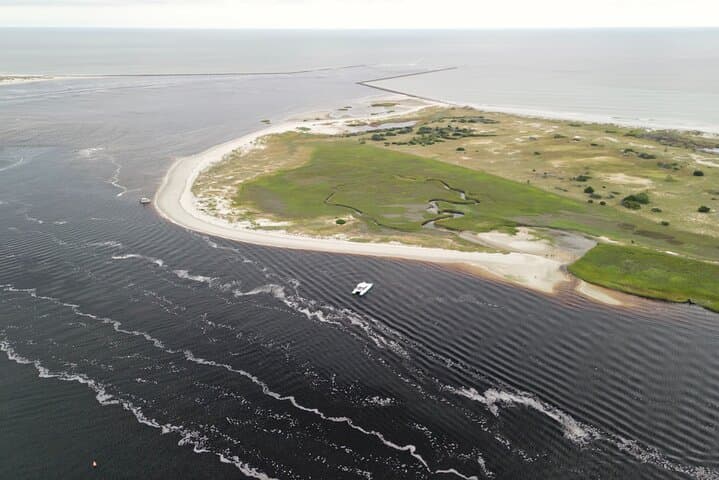 Myrtle Beach Catamaran Dolphin Cruise with Barrier Island Beach Stop photo 6