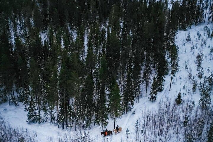 Horseback Ride Through Finnish Forest from Rovaniemi photo 3