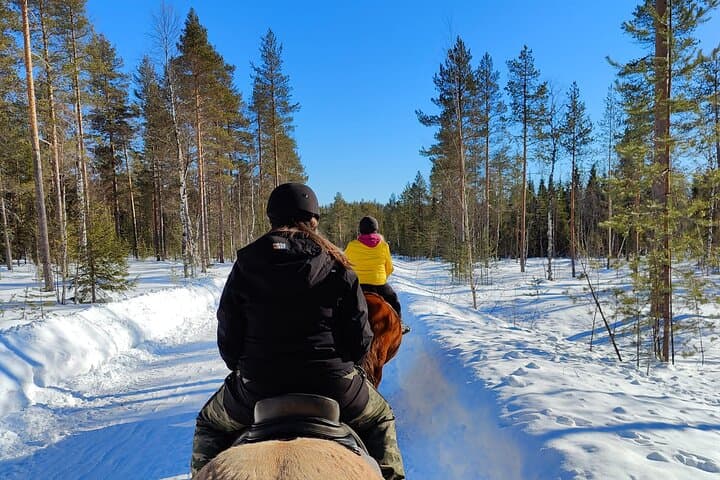 Horseback Ride Through Finnish Forest from Rovaniemi photo 5