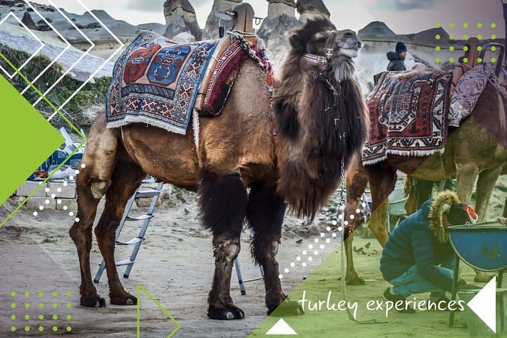 Pamukkale, Ephesus & Cappadocia: 4-Day Camel and Balloon Cultural Circuit