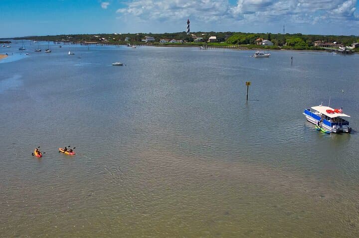 St. Augustine Wildlife Boat Cruise and Guided Kayak Eco Tour photo 5