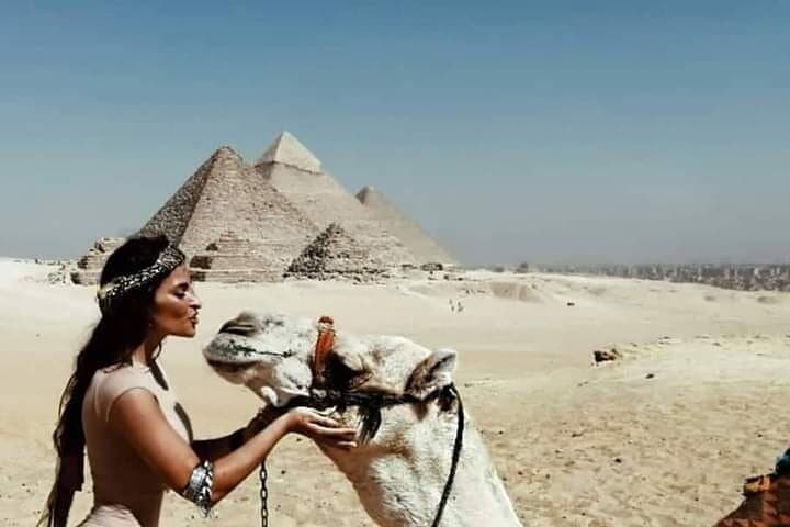Cairo by Bus from Sharm El Sheikh: Day Trip to the Pyramids, Sphinx & Egyptian Museum photo 4