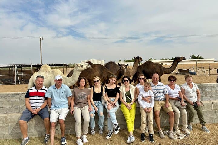 Abu Dhabi Evening Desert Safari: Dune Bashing, Camel Ride & BBQ Under the Stars photo 3