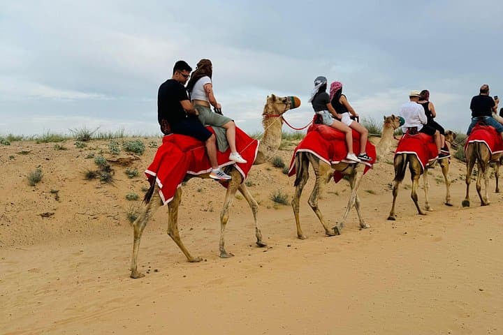 Red Dunes Desert Safari Dubai: Evening Dune Bashing, Camel Ride & BBQ photo 6