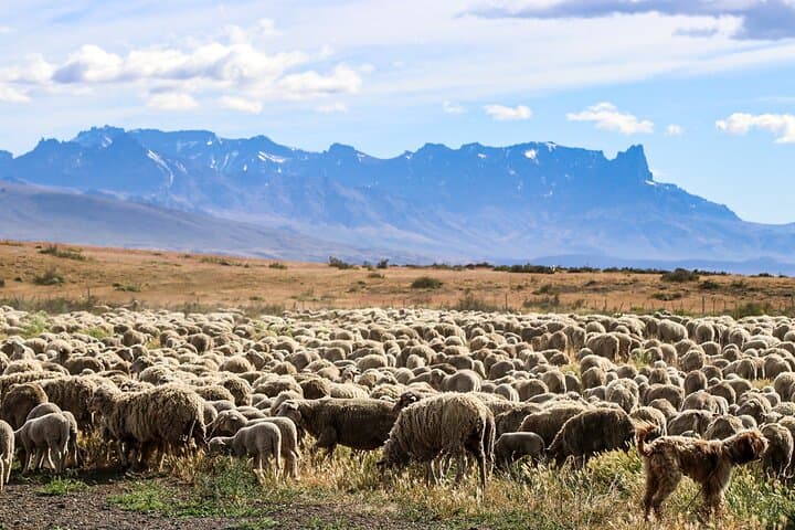 Full-Day Torres del Paine & Milodon Cave: Glaciers, Waterfalls and Paine Viewpoints photo 2