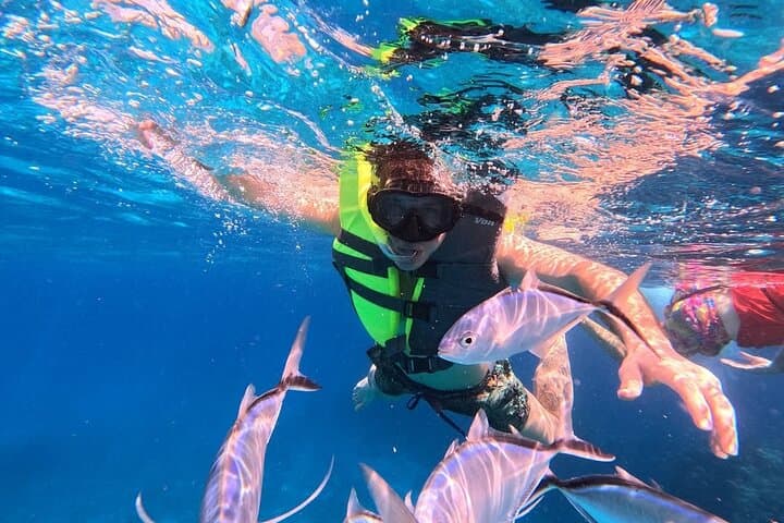 Cozumel Catamaran Snorkel at El Cielo with Open Bar & Beach Lunch photo 4