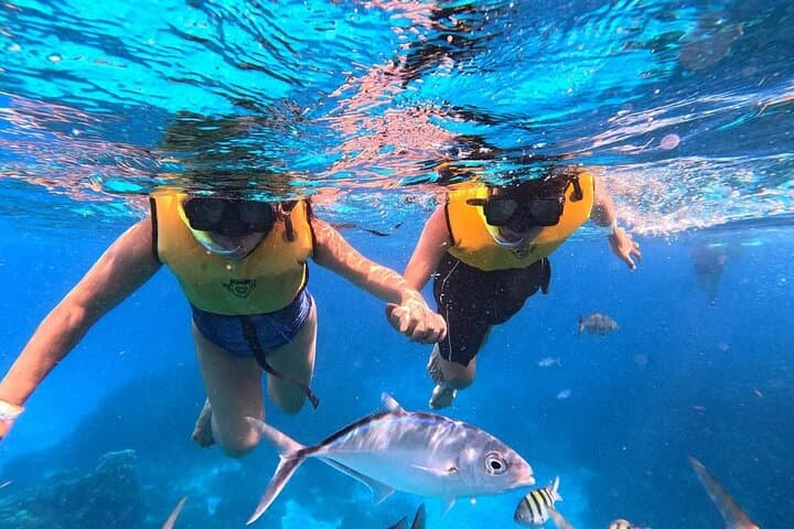 Cozumel Catamaran Snorkel at El Cielo with Open Bar & Beach Lunch photo 5