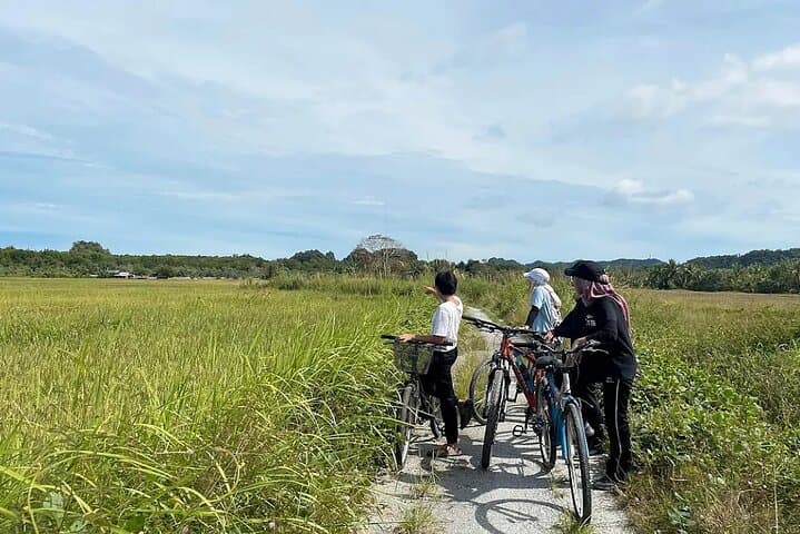 Langkawi Countryside Cycling Tour: Paddy Fields, Villages & Local Snacks photo 4