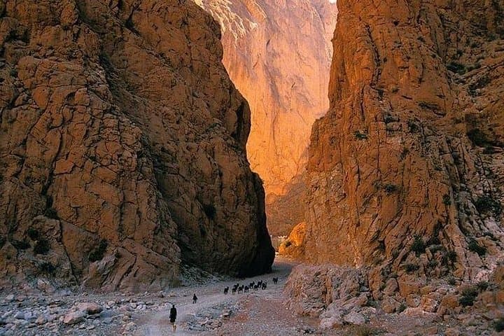 3-Day Merzouga Desert Adventure from Marrakech — Camel Trek & Overnight Sahara Camp photo 4