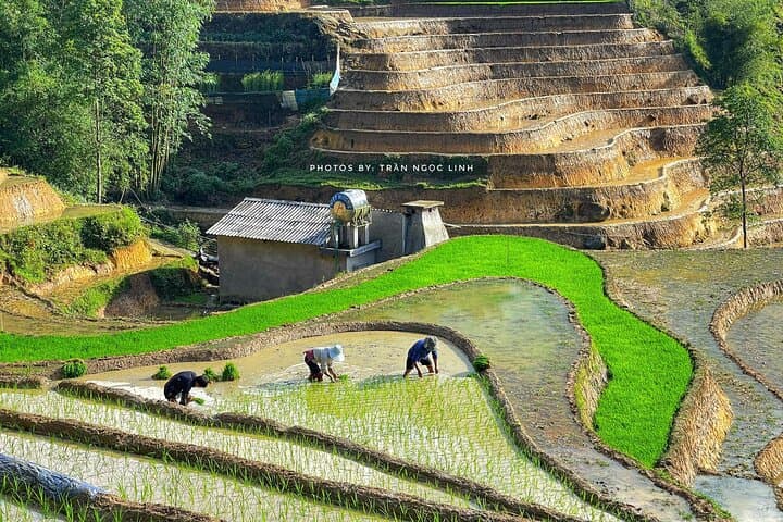 Sapa Highlights Getaway: 2-Day Luxury Trek to Cat Cat, Y Linh Ho & Ta Van photo 3