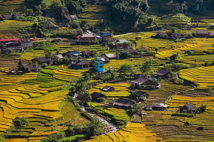 Sapa Rice Terrace Trek: Y Linh Ho, Lao Chai & Ta Van Villages photo 1