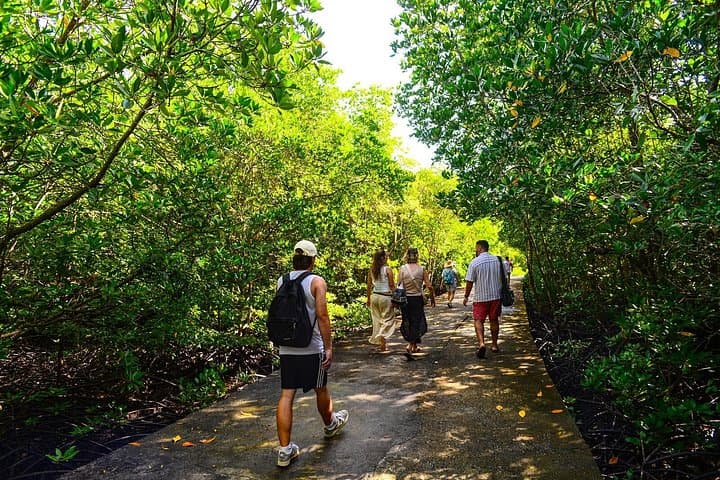Koh Lanta Mangrove Adventure & Old Town Longtail Boat Tour photo 2