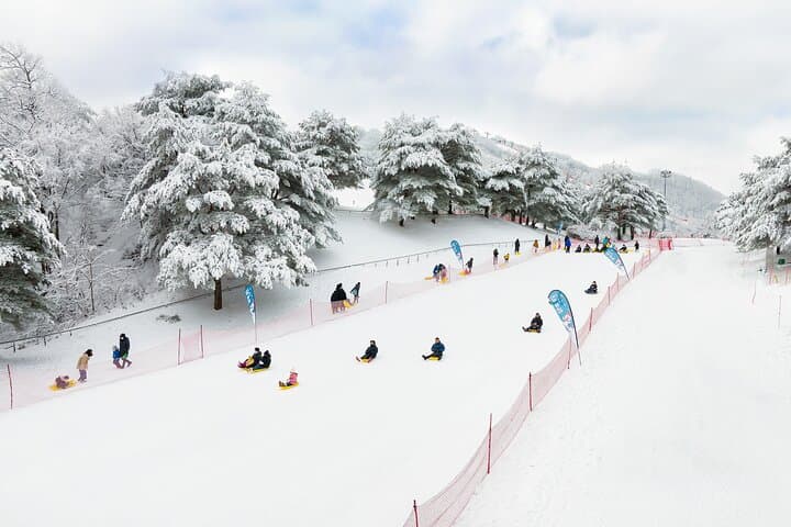 Day Trip to Vivaldi Park Ski World & Eobi Ice Valley from Seoul photo 2