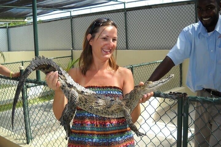 Full-Day South Coast: YS Falls, Black River Safari & Pelican Bar Adventure photo 2