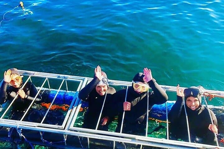 Simons Town Shark Cage Diving: Half-Day Great White Encounter
