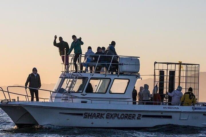 Simons Town Shark Cage Diving: Half-Day Great White Encounter photo 2