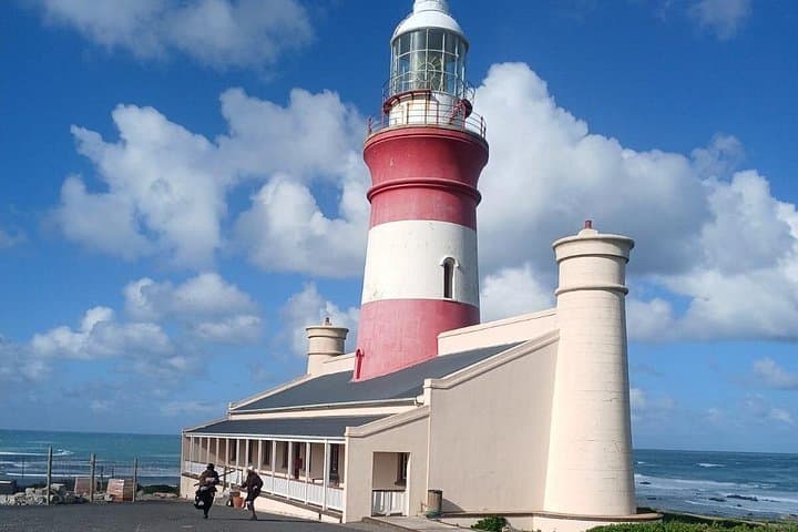 Cape Agulhas Penguins, Whales & Wine: Full-Day Southern Cape Coastal Tour photo 1