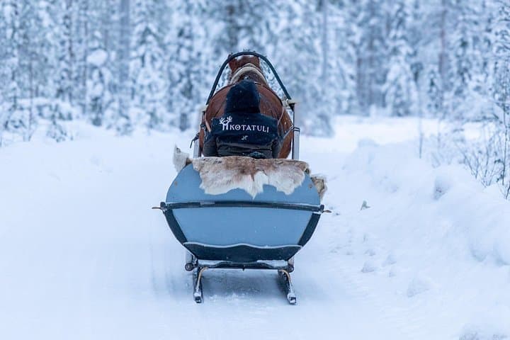 Horse-Drawn Sleigh Experience in Finnish Lapland — Kotatuli Winter Ride photo 1